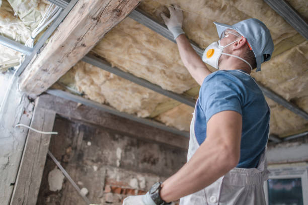 Best Types of Insulation in Elbow Lake, MN