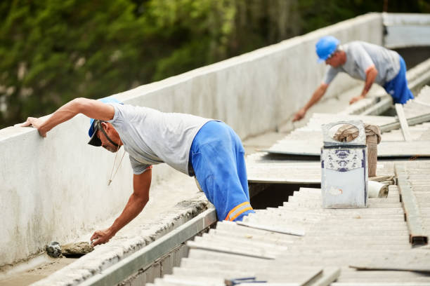 Best Insulation Maintenance and Repair in Elbow Lake, MN